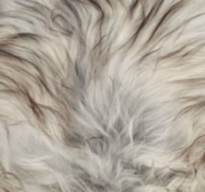 Theo Bank mit Lammfell | Island | Eichenbeine Naturgrau