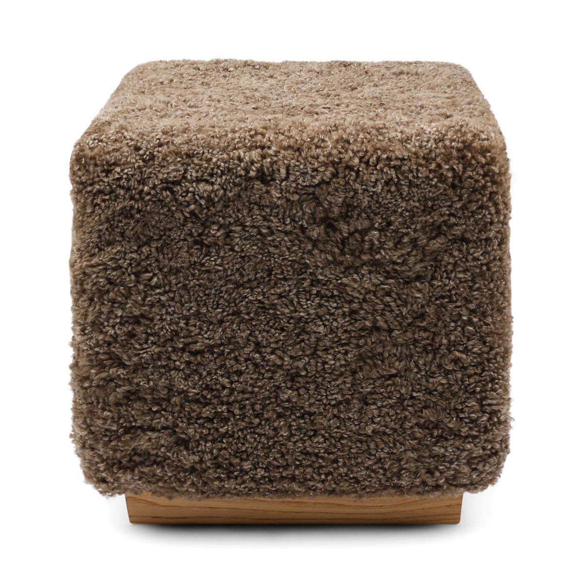 Benjamin Hocker | Kurzhaar Taupe