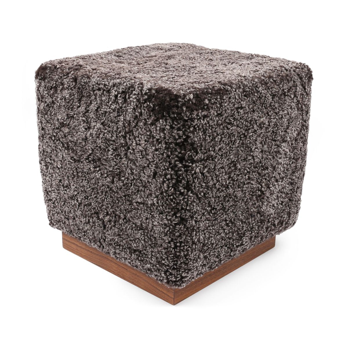 Benjamin Hocker | Kurzhaar