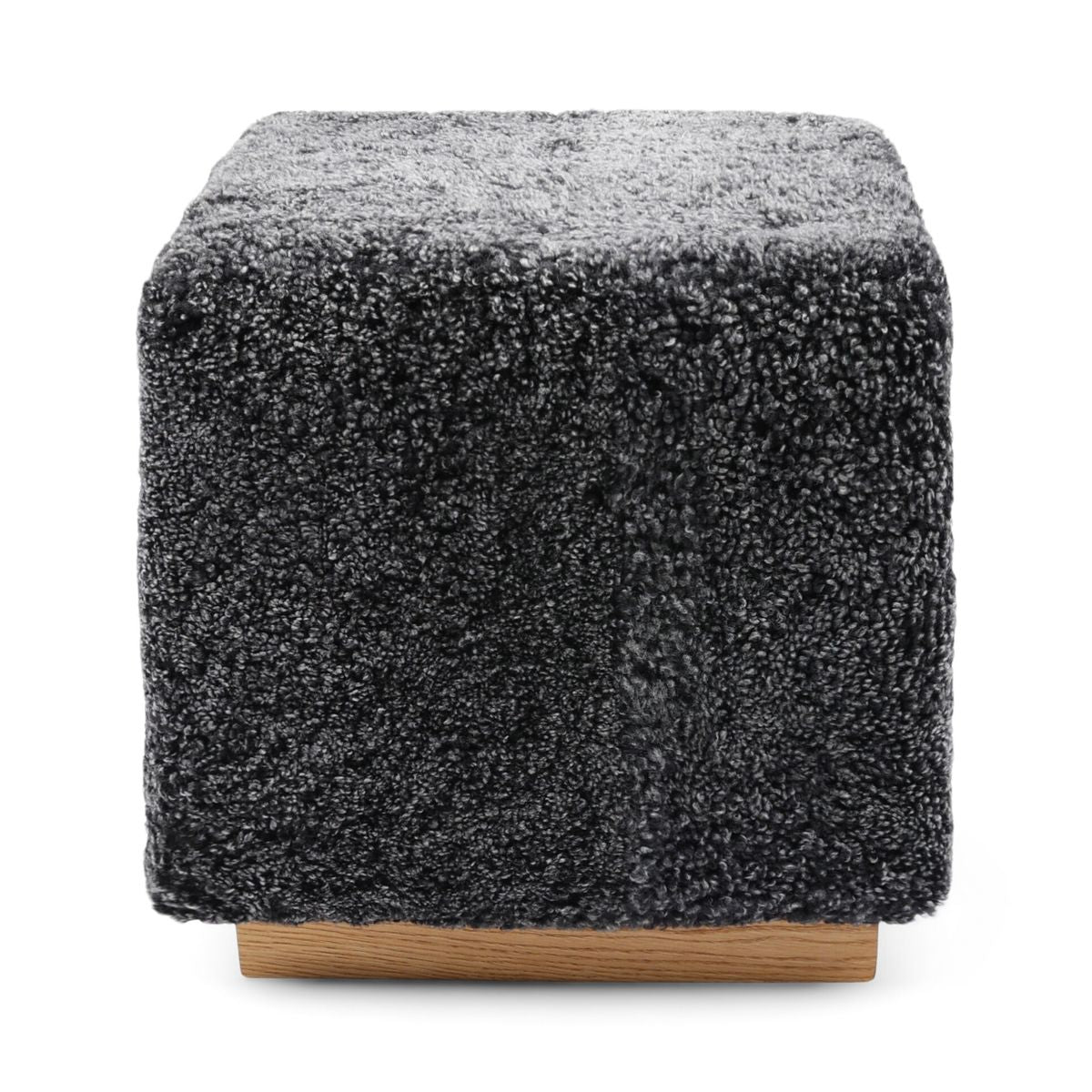 Benjamin Hocker | Kurzhaar Anthrazit