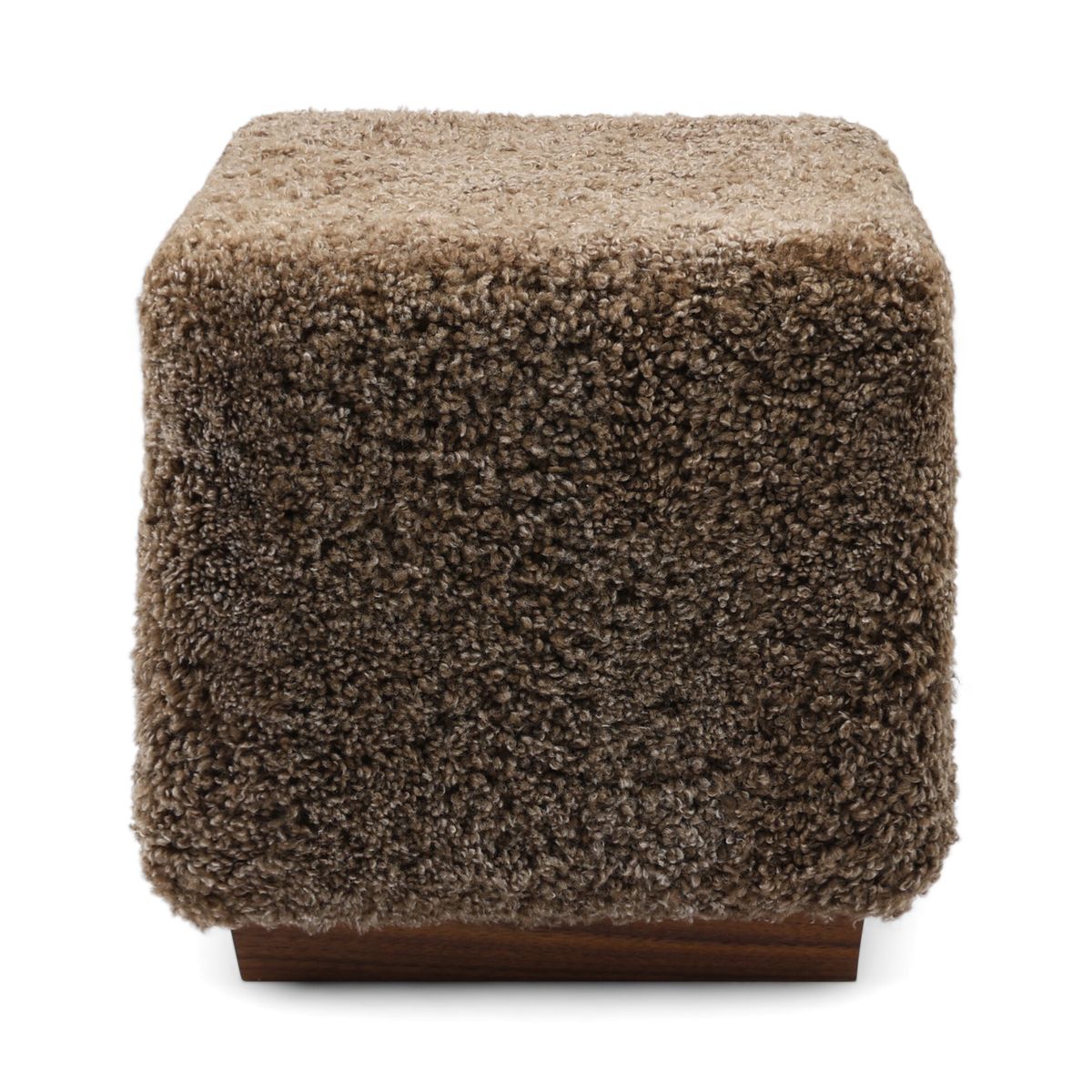 Benjamin Hocker | Kurzhaar Taupe