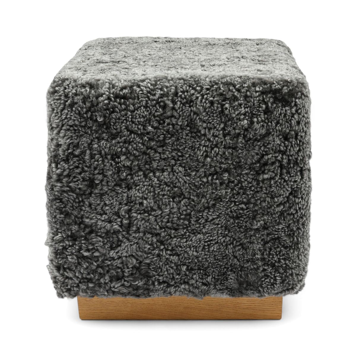 Benjamin Hocker | Kurzhaar Grafit