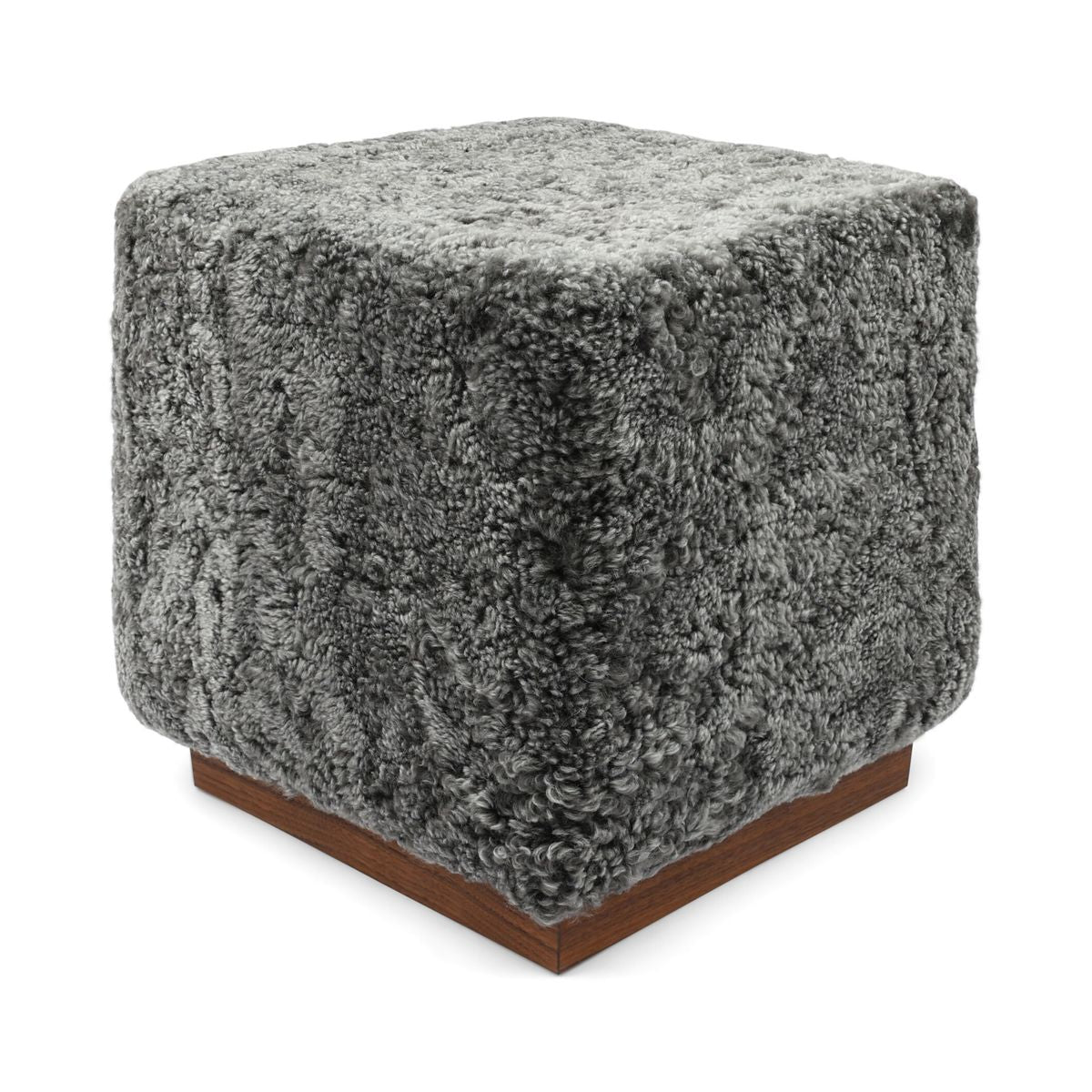 Benjamin Hocker | Kurzhaar Grafit