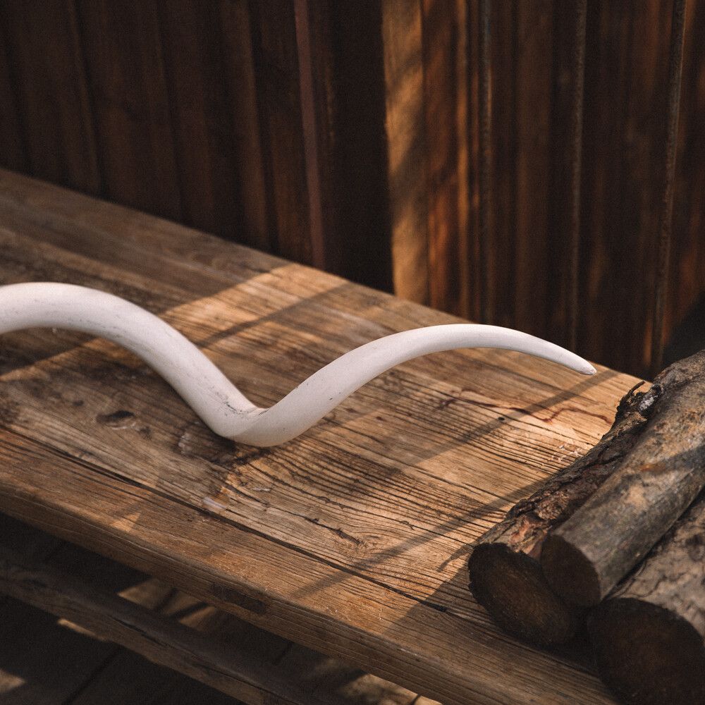 Kuduhorn | Südafrika | Weiß | 75-85 cm