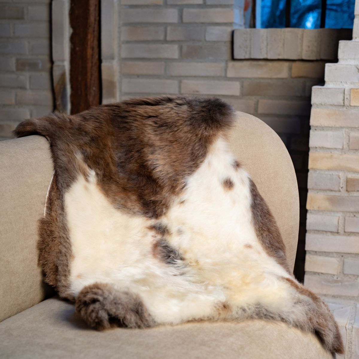 Himalaya Fell | Langhaar | 95x60 cm Dunkel Gefleckt