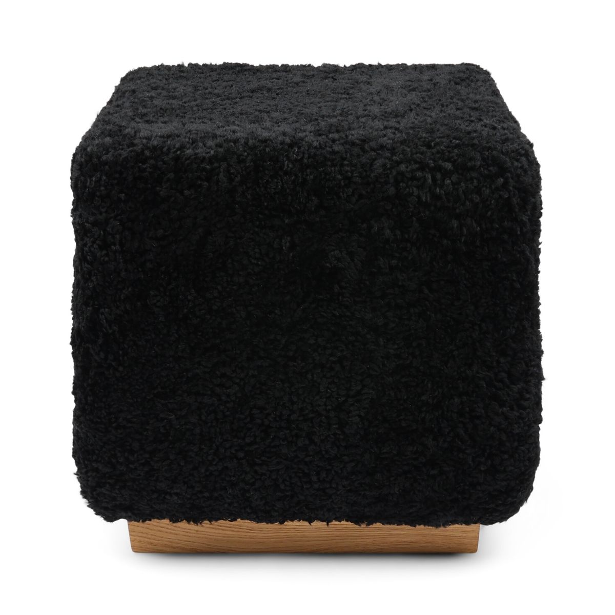 Benjamin Hocker | Kurzhaar Schwarz