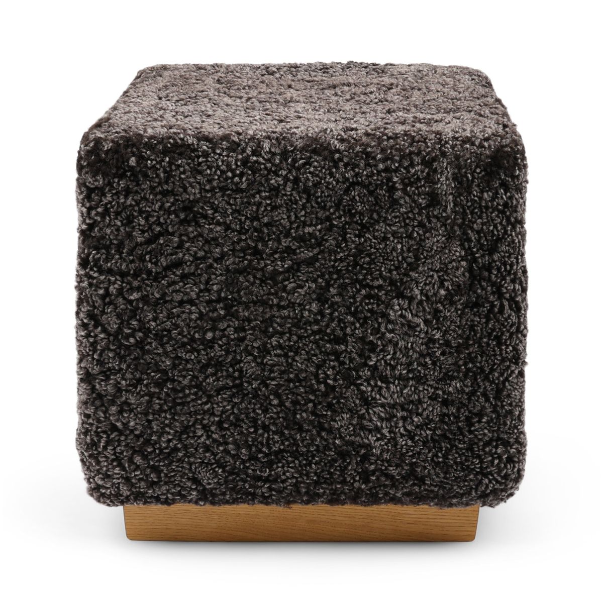 Benjamin Hocker | Kurzhaar Cappuccino