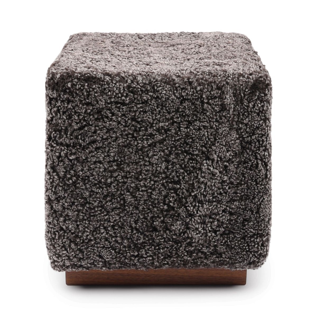 Benjamin Hocker | Kurzhaar Cappuccino