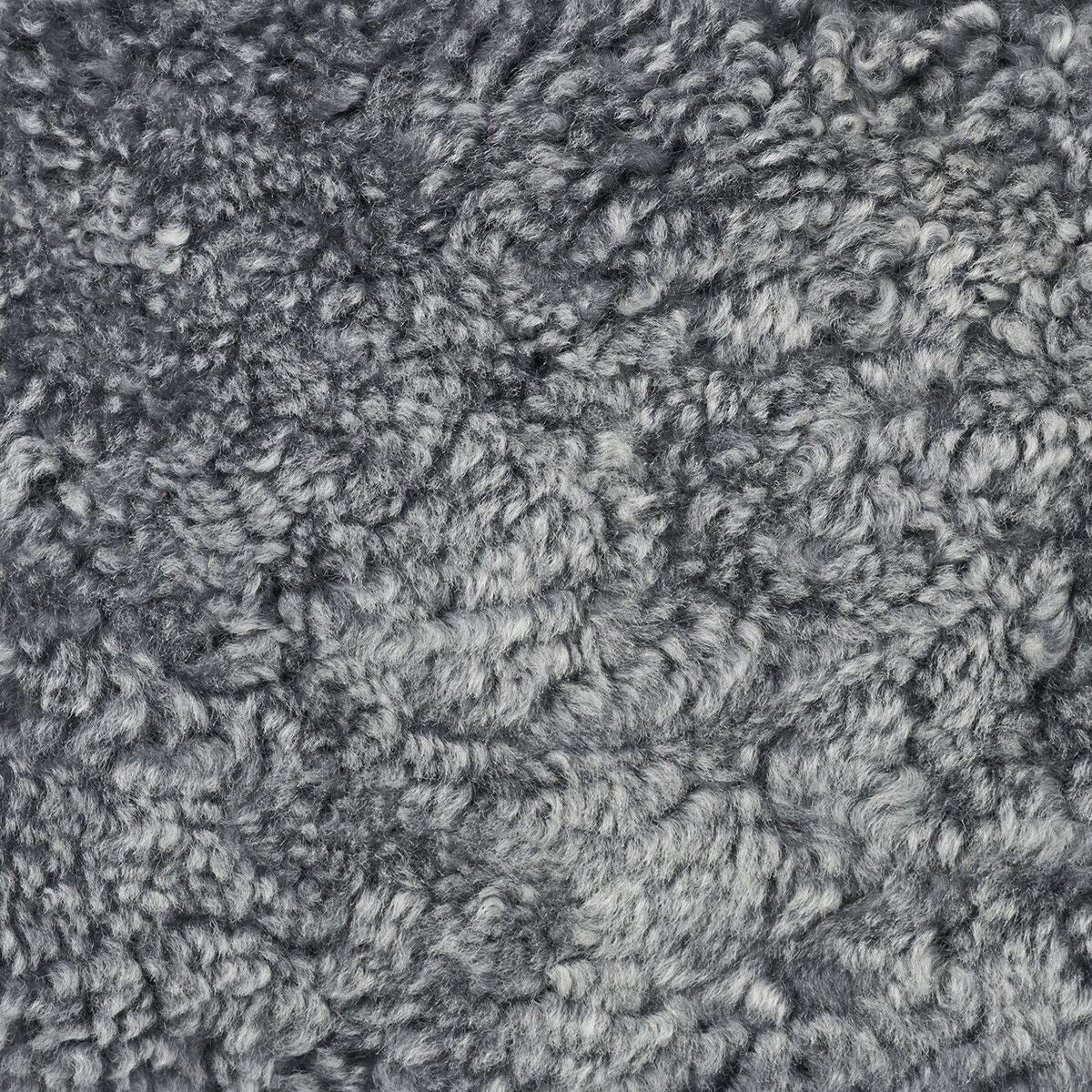 Matthew Pouf | Kurzhaar | Neuseeland Hellgrau