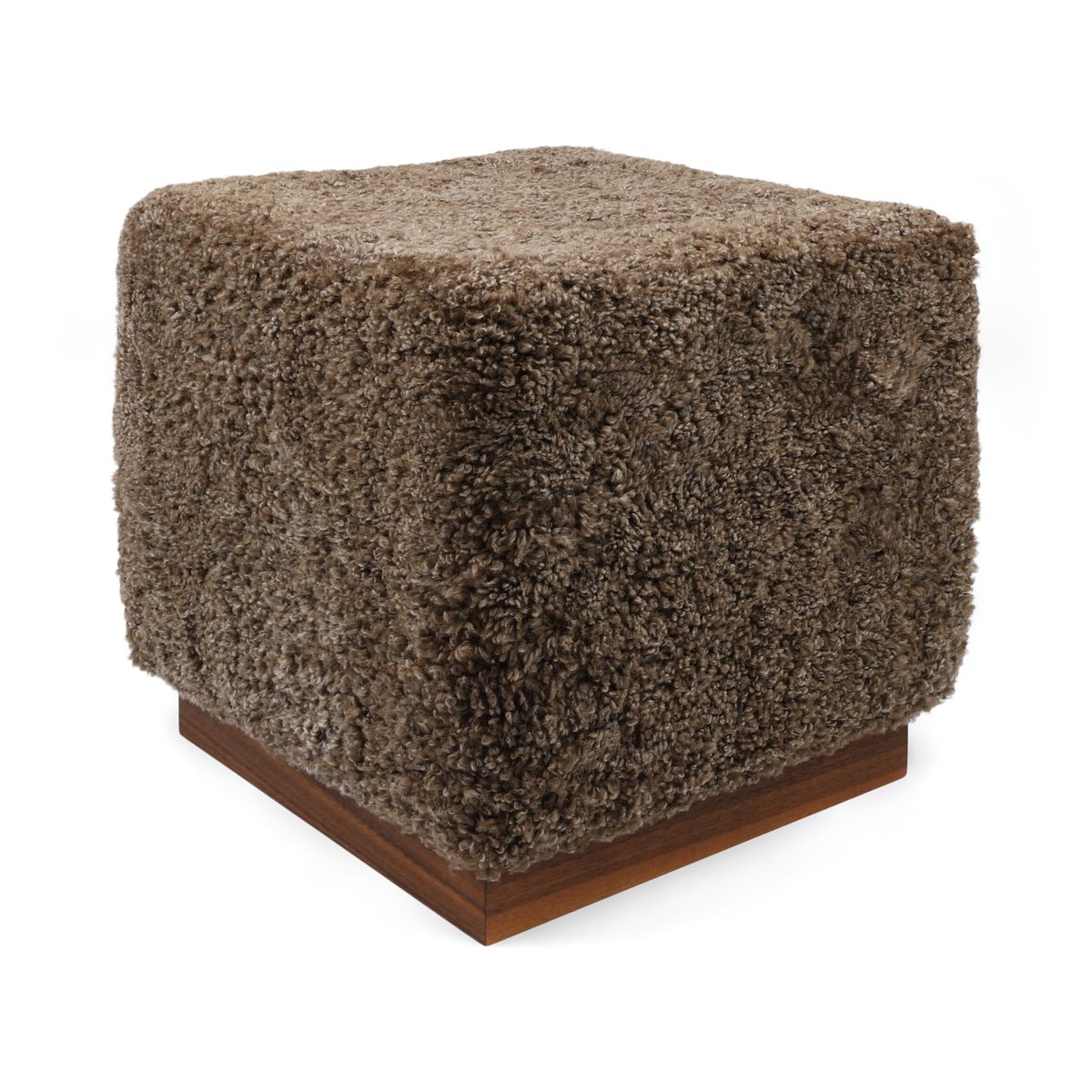 Benjamin Hocker | Kurzhaar Taupe