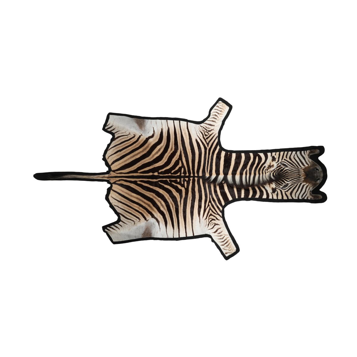Zebrafell | Premium Qualität | Südafrika | Filzrückseite