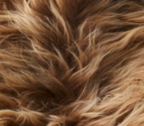 Theo Bank mit Lammfell | Island | Eichenbeine Rostbraun