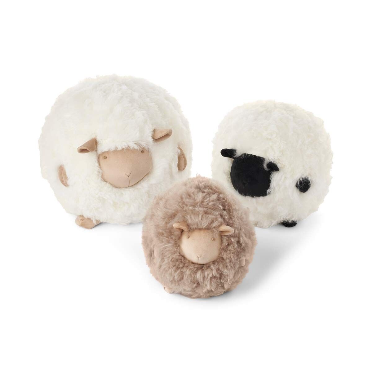 Cute Sheep | Kurzhaar | Neuseeland Beige/Weiß