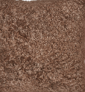 Matthew Pouf | Kurzhaar | Neuseeland Taupe